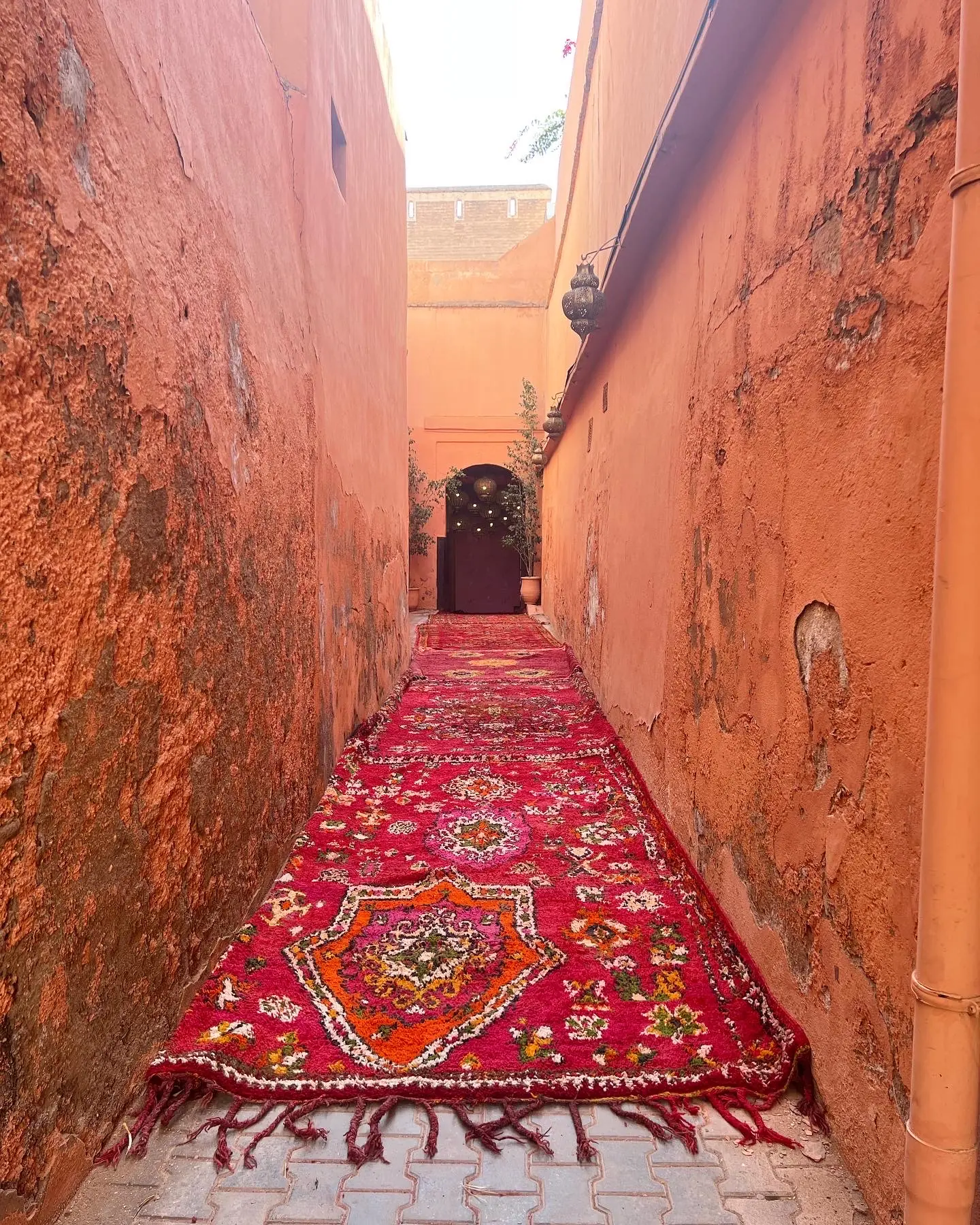Le couloir d'entrée et son tapis rouge